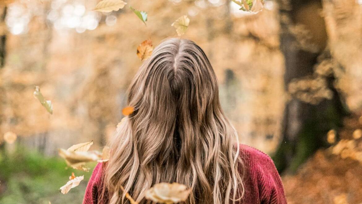 Η μαγεία του φθινοπώρου – Από τη εξωτερική συγκομιδή στην εσωτερική αναγέννηση