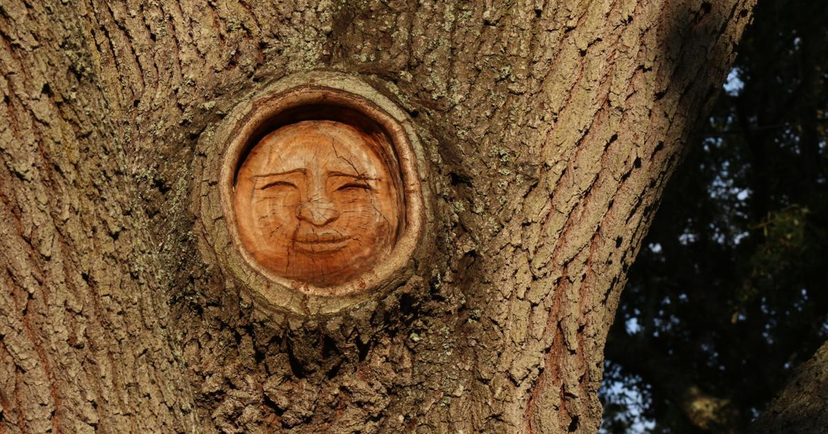 Η Δύναμη των λέξεων – Από τους μύθους των νησιών Σολομώντα στην εσωτερική μας ανάπτυξη
